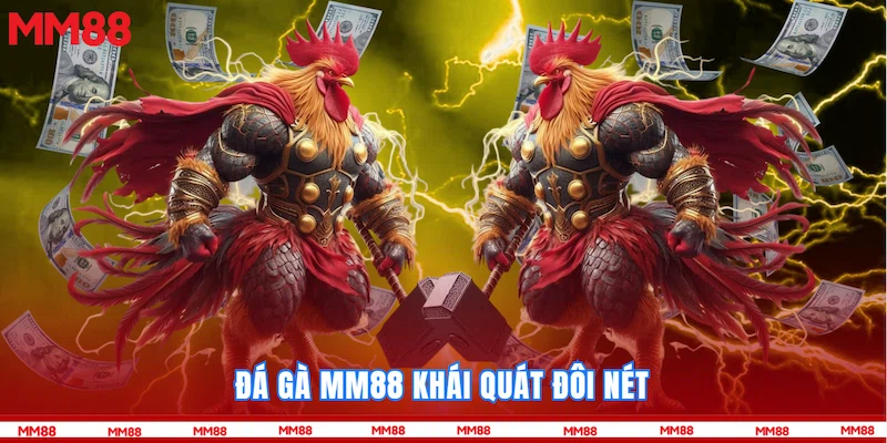 Đá gà MM88 khái quát đôi nét